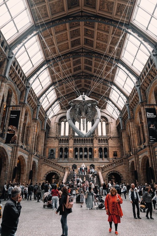 Quels sont les enjeux légaux et la procédure pour enregistrer une marque sonore auprès de l'INPI?